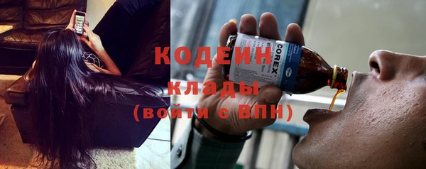 шишки Инсар