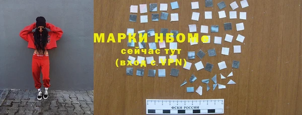 шишки Инсар