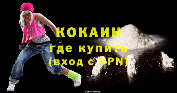 шишки Инсар