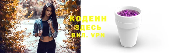 хмурый Каменка