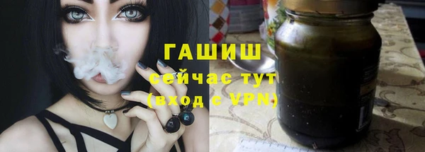 шишки Инсар