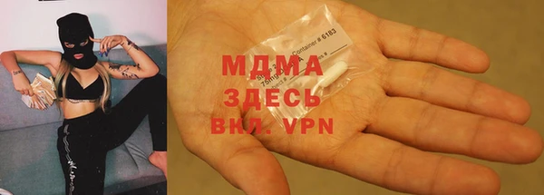 шишки Инсар