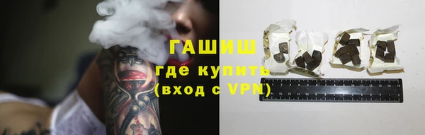 шишки Инсар