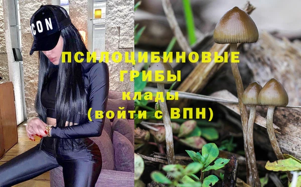 не бодяженный Иннополис