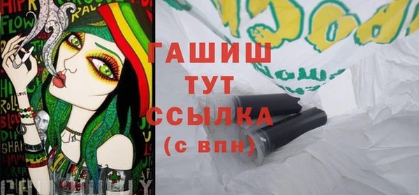 шишки Инсар
