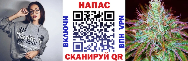 Купить  Тольятти  Шишки марихуана OG Kush 